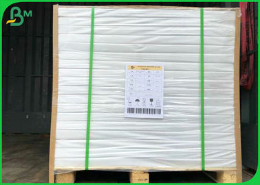 700 * 1000mm 350gr + 15g PE Coated Paper For Box Of Lunch Food