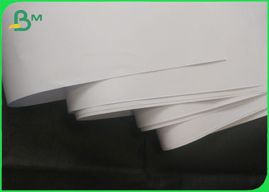 Recyclable Paper Material Woodfree Paper 80gsm 100gsm 51 - 95cm Rolls Size