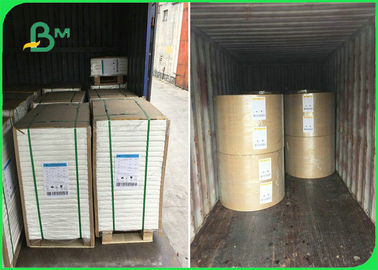 FSC Certified 80gsm 100gsm 120gsm Woodfree Paper In Ream For Offset Printing