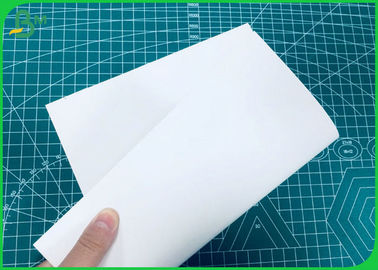 230GSM To 400GSM Full Solid White Coated FBB With Good Stiffiness