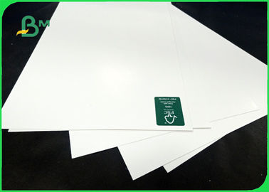 250gsm 300gsm 350gsm High Brightness Coared FBB Board With Pure Wood Pulp