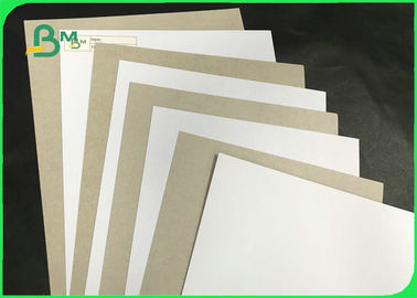 FSC Certified 250gsm 300gsm 350gsm Duplex Paper Board Roll For Making Boxes