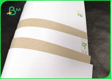 230gsm 250gsm Clay Coated Duplex Board Grey Back For Carton Box Good Stiffness