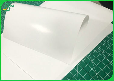 80gr to 400gr Gloss Coated Art Paper C2S Matte Paper Board Jumbo Roll / Ream