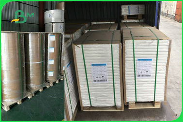 Food Grade PE Coated Folding Board In Roll For Making Paper Cup