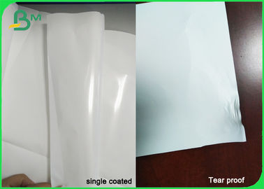 Recyclable Non - Tearable PP Coating Synthetic Paper For Adhesive Labels