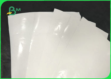 Greaseproof 100gsm 120gsm + 10g PE Coated Paper For Packing Food