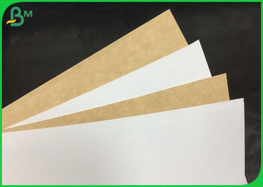 Coated 100% Virgin Kraft Paper For Making Air Filter Paper Board