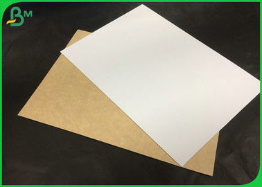 Coated 100% Virgin Kraft Paper For Making Air Filter Paper Board