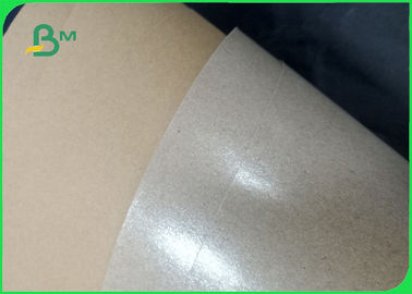 Degradable Safety 35 - 300gsm PE - Coated Kraft Paper Roll For Food Box