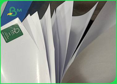 80gsm 93gsm 120gsm Heatable Woodfree Paper + PE Coated For Waterproof Bag