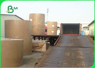 FSC & EU CCNB Paper 300 / 400gsm In Rolls As Pack Material 900mm 1220mm