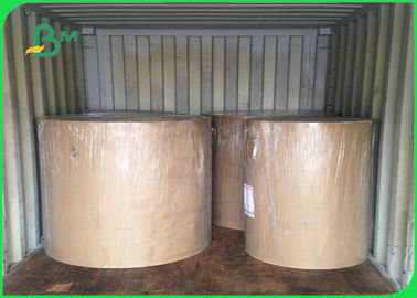 FSC & EU CCNB Paper 300 / 400gsm In Rolls As Pack Material 900mm 1220mm