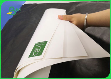 Coated FBB Cardboard For Invisible Sock Packaging 350GSM 400GSM