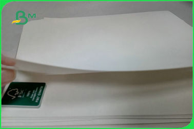 Custom SBS FBB Cardboard 230 To 350gsm 645 X 920mm For Invisible Sock Packaging