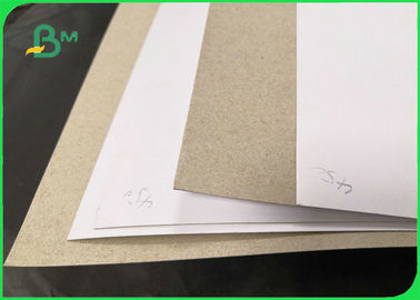 250gsm 300gsm Coated Duplex Board White Surface For Shirt Lining Packaging