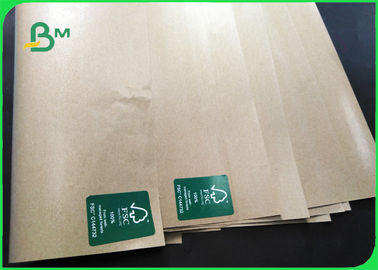 150 - 350gsm Unbleached Brown Kraft Paper PE Coated For Wrapping