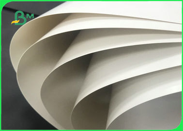 300gsm 350gsm + 15g PE Coated Cardboard For Fast Food Packages