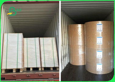 300gsm 350gsm + 15g PE Coated Cardboard For Fast Food Packages