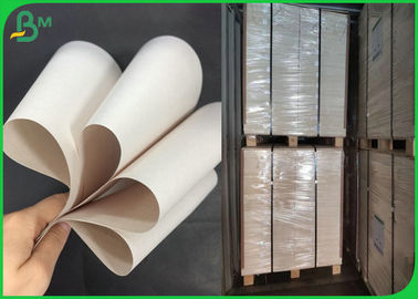 Tacos And Tortillas Wrapping Paper With 48gsm , 50gsm , 52gsm