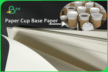 170 - 300gsm Food Grade Cupstock Base Paper Roll For Disposable Paper Cup