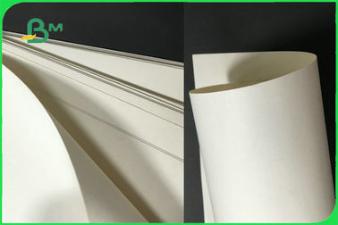 170 - 300gsm Food Grade Cupstock Base Paper Roll For Disposable Paper Cup