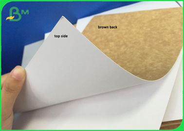 250gsm Clay Coated Kraft Back Take Out Box Paper Food Grade In Reel