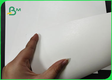 One Side Coated 300g PLA Coating Paper Completely Degraded For Office Cups