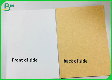 Free Samples Supported 250g 325g 365g Coated Kraft Paper Board For Food Box