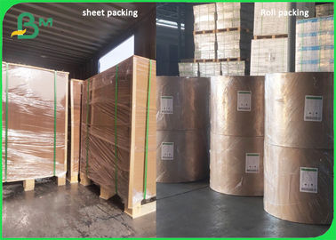 Food Grade PE Coated Natural Virgin Kraft Paper for Paper plate 350gsm