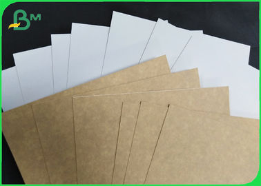 Stain Resistance FDA 300 GSM Coated Kraft Board For Medicine Packaging Box