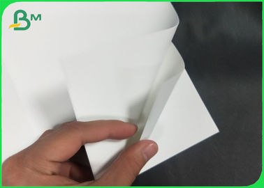 Heat - Resistant Synthetic Paper White 80um - 300um Thickness