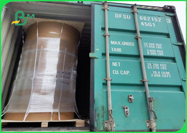 Offset Printing PE Coated Paper 300 + 15g FDA Disposable 750 / 800 / 900mm