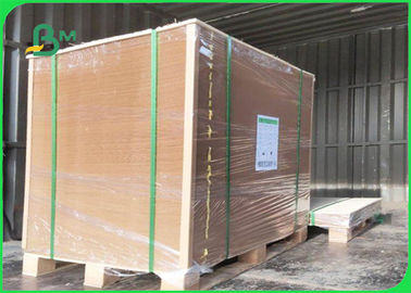 Offset Printing PE Coated Paper 300 + 15g FDA Disposable 750 / 800 / 900mm