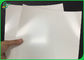 300gsm FDA Certified One Side PE Coated FBB Paper With High Glossy