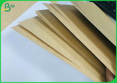 Coated Surface Virgin Pulp White Top Liner Board 325gr / ㎡ Sheets With Food Grade