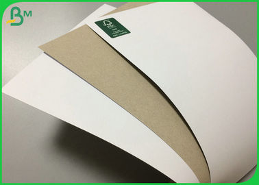 Different Gram Coated White Top Test Liner Board Natural Pulp