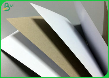 Different Gram Coated White Top Test Liner Board Natural Pulp