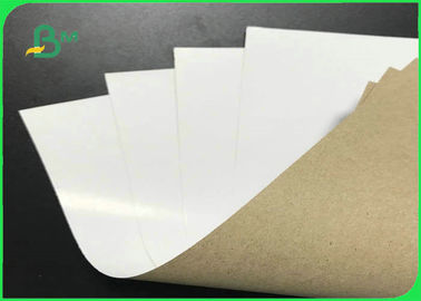 Soft Surface 140gr 170gr 200gr Coated White Top Testliner For Express Envelope