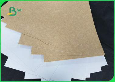 Food Grade 270gsm PE 1 / S Clay Coated Kraft Board For Frozen Products