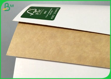 300g 325g White Face Kraft Liner Board For Food Grade Package