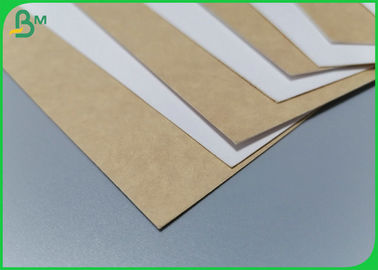 250gr 365gr Coated One Side Kraft Paper Board For Making Lunch Box