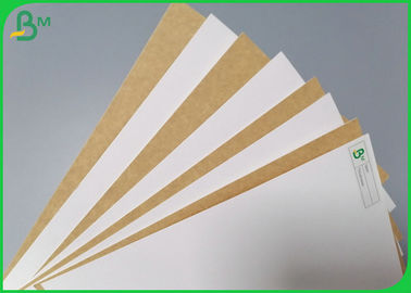 250gr 365gr Coated One Side Kraft Paper Board For Making Lunch Box