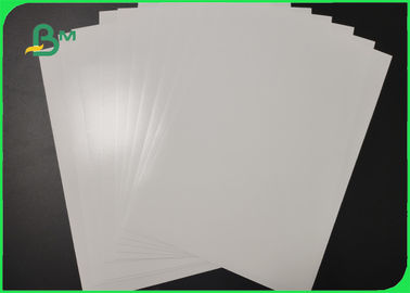 200gsm 280gsm Printed Glossy RC Photo Paper For Poster High Resolution