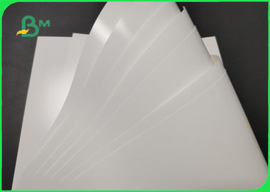 200gsm 280gsm Printed Glossy RC Photo Paper For Poster High Resolution