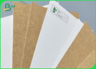 240GSM 250GSM 300GSM White Craft Paper Rolls &amp; Sheets Brown Back For Bags