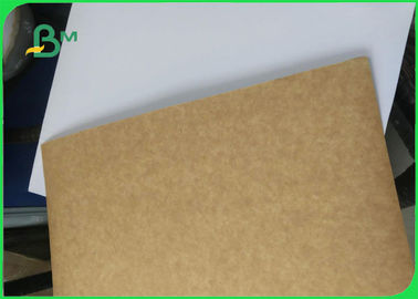 Food Grade White Clay Coated Kraft Food Tray Base Paper 200gsm