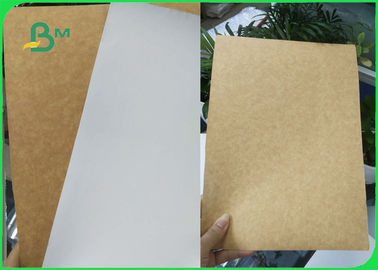 Food Grade White Clay Coated Kraft Food Tray Base Paper 200gsm