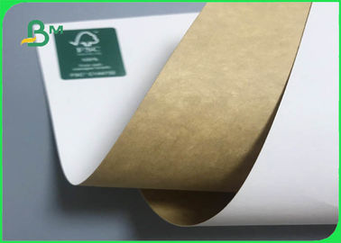 300gsm 365gsm FDA Clay Coated Kraft Back For Food Wrapping Box