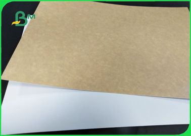 365gsm White Coated Paper Unbleached Kraft Back Material For Food Trays